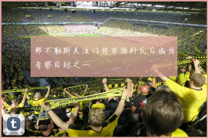 那不勒斯关注门将市场科瓦日成为考察目标之一
